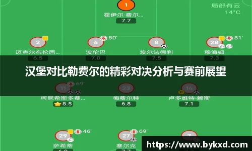 汉堡对比勒费尔的精彩对决分析与赛前展望