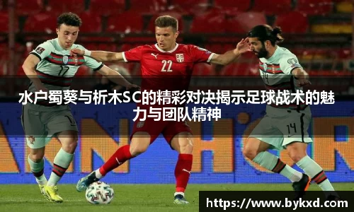 水户蜀葵与析木SC的精彩对决揭示足球战术的魅力与团队精神